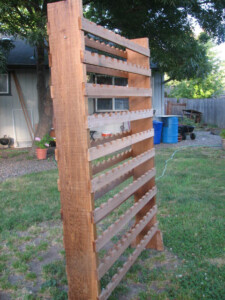 Solid wood wine rack repurposing mission: vertical gardening strawberry bed. Eugene Habitat ReStore customer project