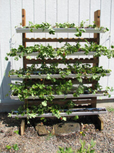 Repurposing is only limited by your imagination and know how. Come in to the ReStore, be inspired. Eugene Habitat ReStore customer project